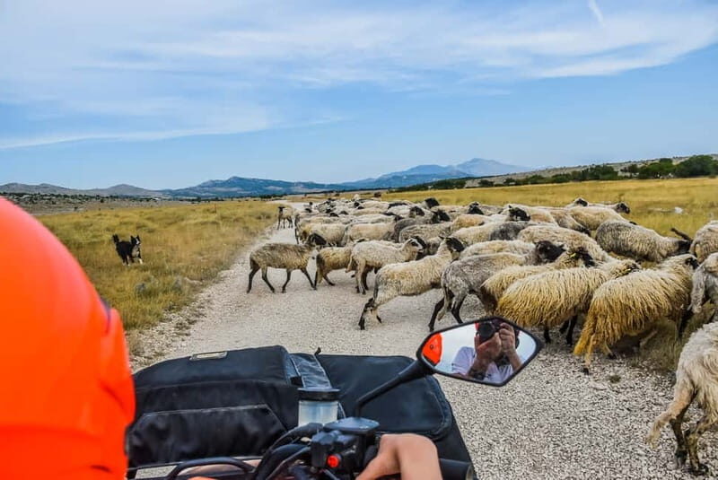 From Split: Full-Day Horse Riding & Quad Biking with Lunch - Key Points
