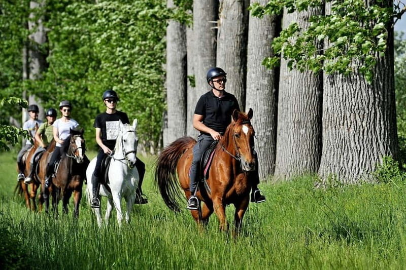 From Split: Full-Day Horse Riding & Quad Biking with Lunch - The Sum Up: Who Is This Tour Best For?