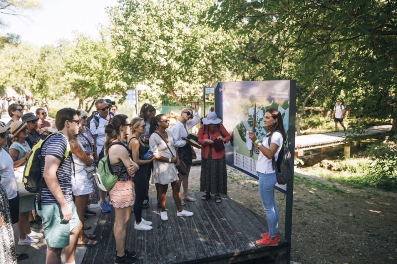 From Split: Krka Waterfalls, Food & Wine Tasting Tour - An Overview of What to Expect