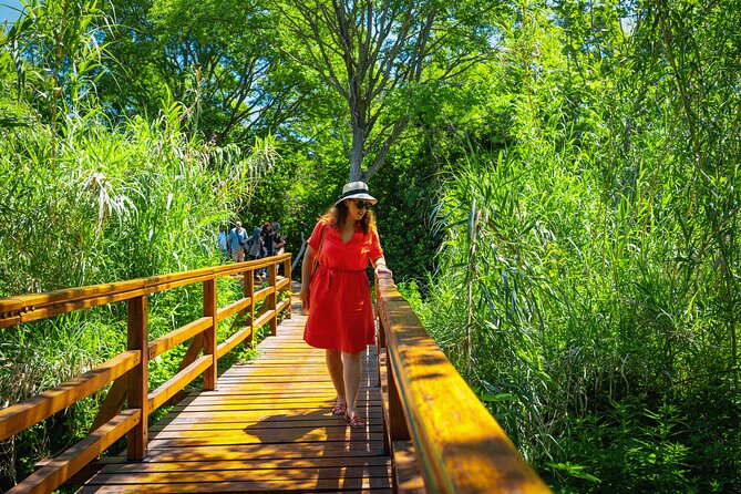 From Split: Krka Waterfalls Tour - What To Expect