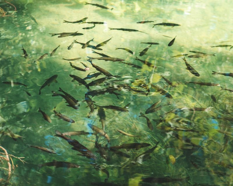 From Split: Krka Waterfalls Tour with Boat Cruise & Swimming - The Scenic and Cultural Highlights