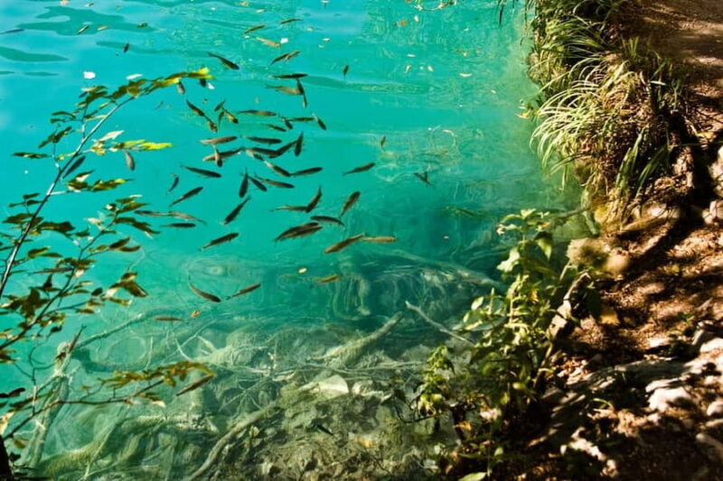 From Split: Krka Waterfalls Tour with Boat Ride & Swimming - Transportation and Group Size