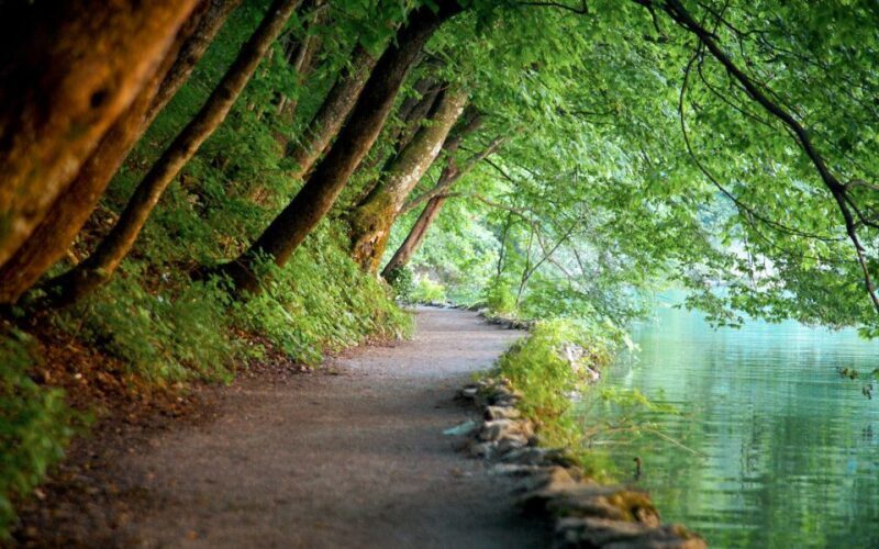 From Split or Trogir: Plitvice Lakes Guided Full-Day Tour - Value and Practicalities