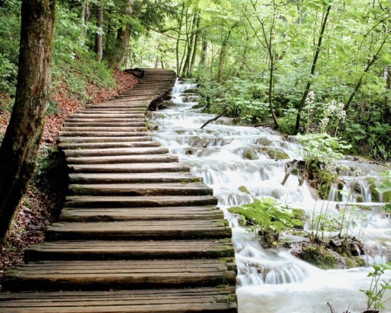 From Split or Trogir: Plitvice Lakes Guided Full-Day Tour - FAQ