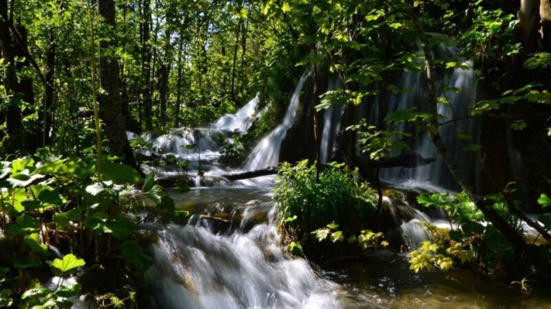 From Split or Trogir: Plitvice Lakes Trip with Entry Ticket - Who Should Consider This Tour?