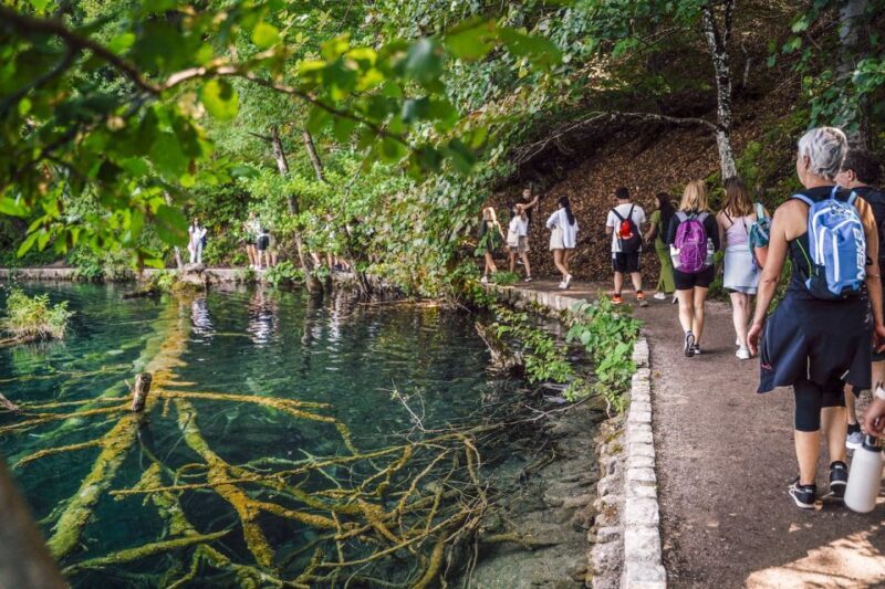 From Split: Plitvice Lakes National Park Guided Tour - An Introduction to the Experience