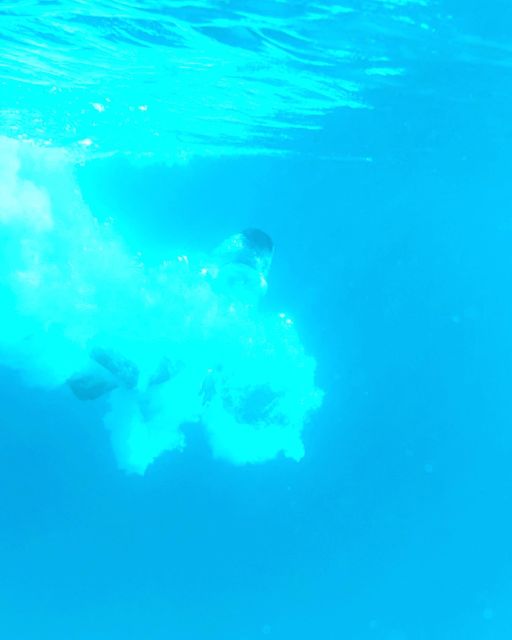 From Split/Trogir: Blue Lagoon & 2 Islands half-day Private - Pricing and Value