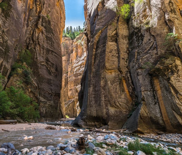 From Springdale: the Zion Narrows Hike With Lunch - Itinerary for the Guided Tour
