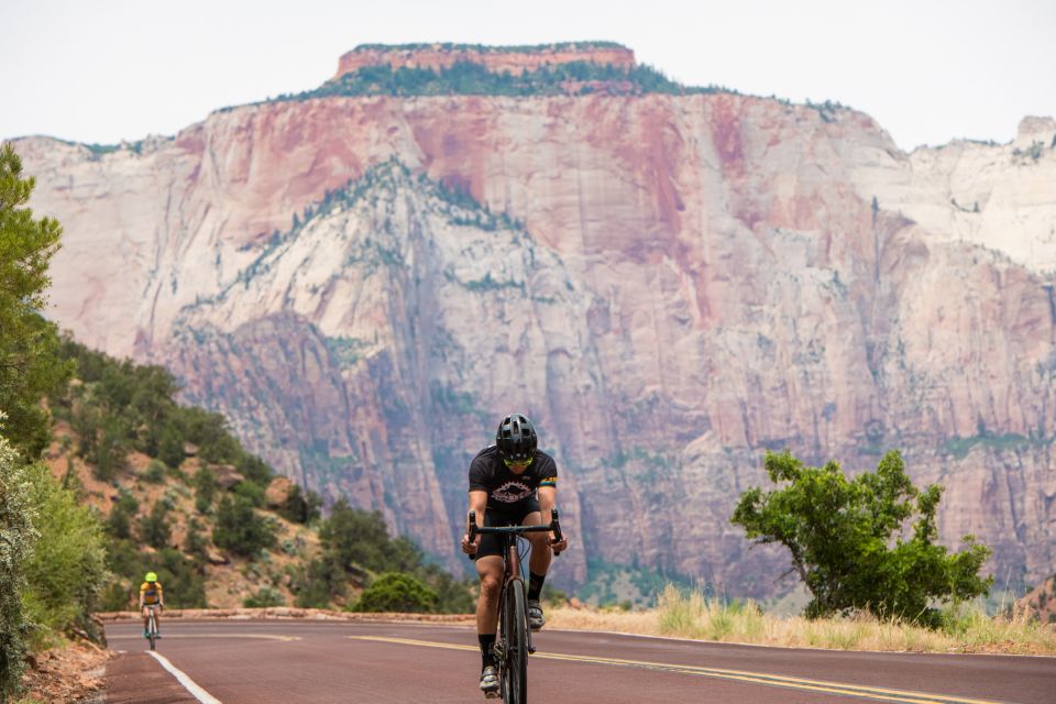From Springdale: Zion National Park Bike Tour - Exploring Zions Scenic Landscapes