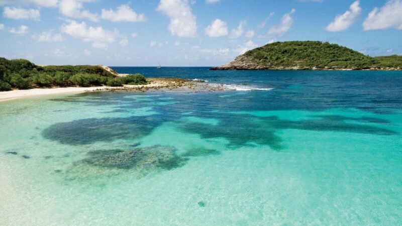 From St John's: Half Moon Bay Beach Half-Day Trip by Van - A Natural and Relaxed Day at Half Moon Bay