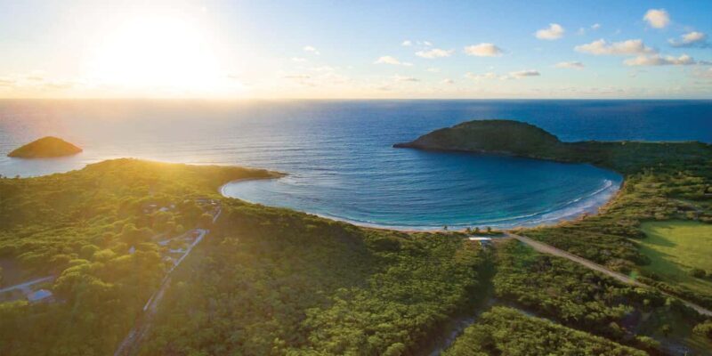 From St John's: Half Moon Bay Beach Half-Day Trip by Van - The Guide: Local Knowledge and Friendly Demeanor