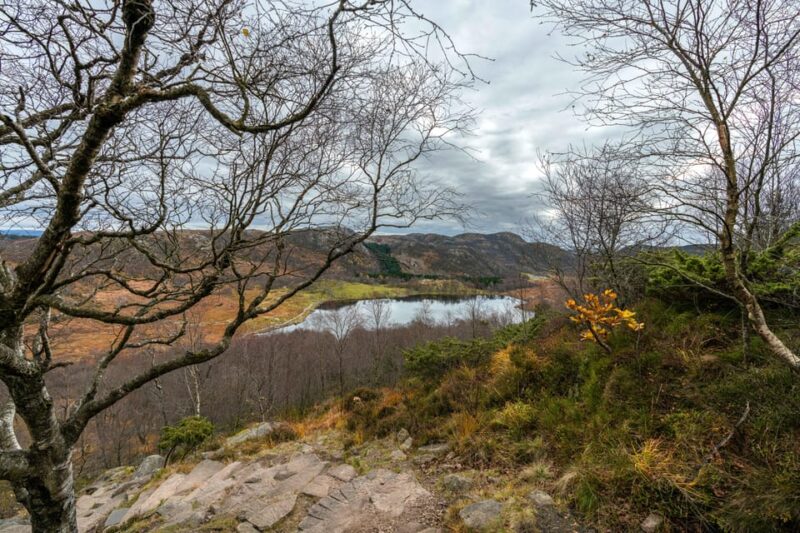 From Stavanger: Guided Tour to Månafossen and Dalsnuten - Inclusions and Amenities