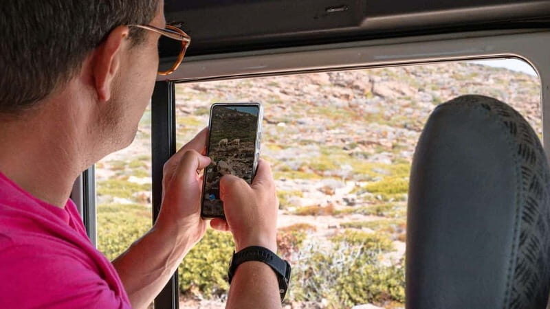 From Stintino: Asinara minivan tour - Who Should Consider This Tour?