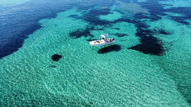 From Stintino: boat trip to Asinara - An Authentic Sardinian Sea Adventure