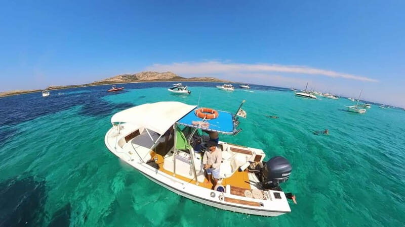 From Stintino: boat trip to Asinara - The Sum Up