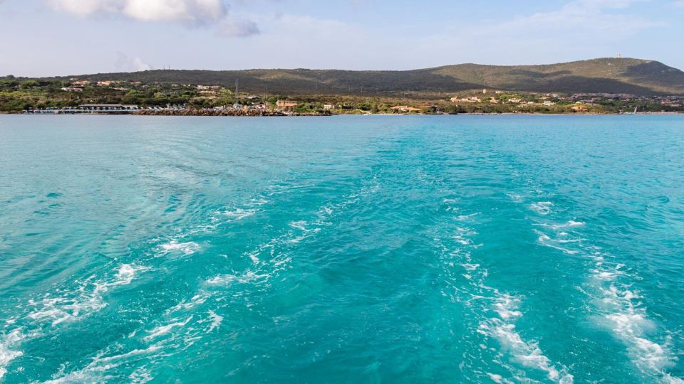 From Stintino: Catamaran Tour to Asinara Island - Duration and Scheduling Details