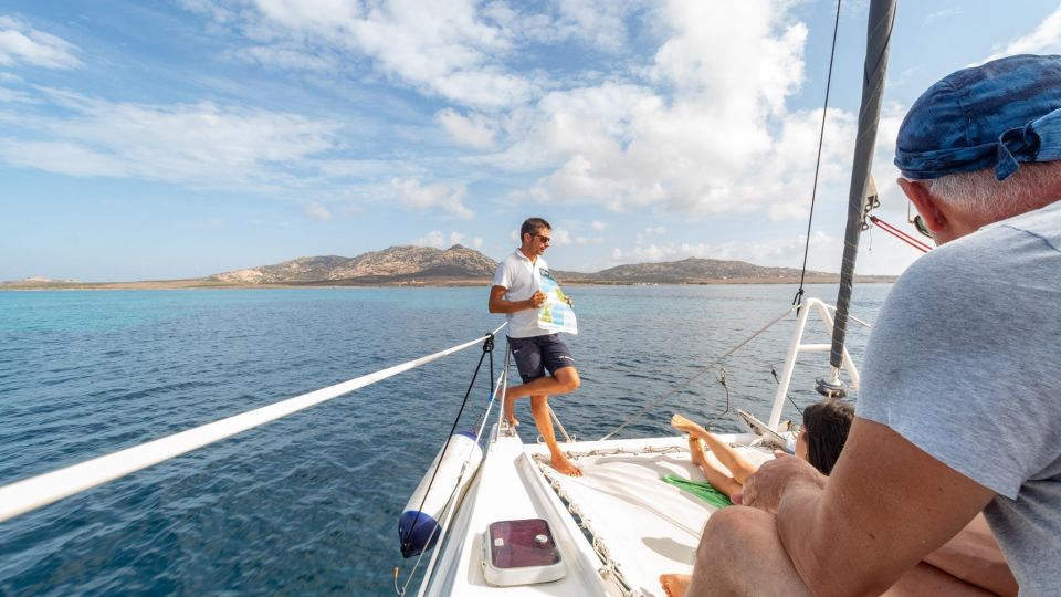 From Stintino: Catamaran Tour to Asinara Island - Accessibility and Restrictions