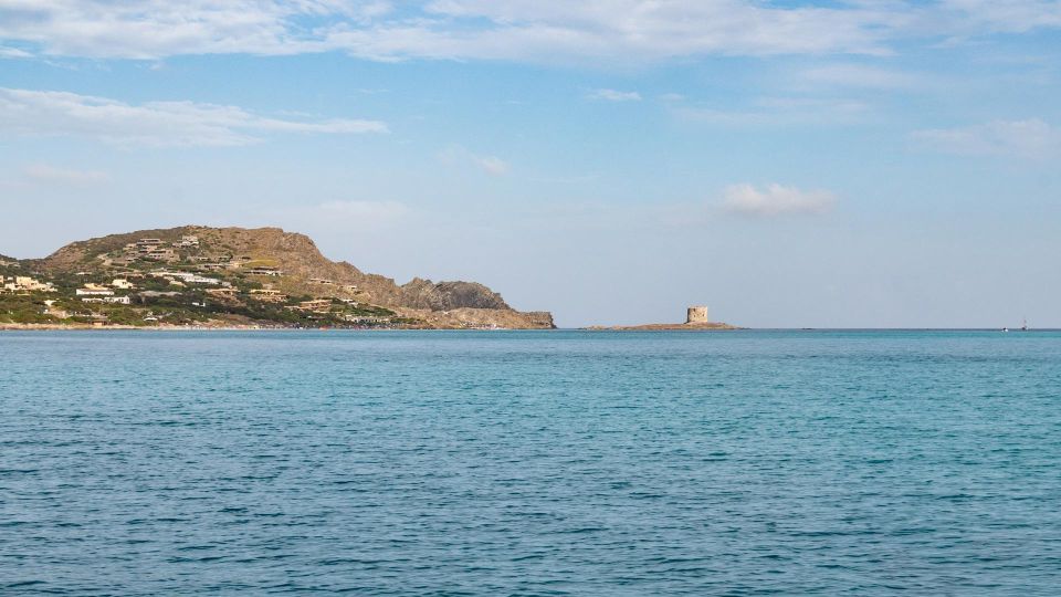 From Stintino: Catamaran Tour to Asinara Island - Recap