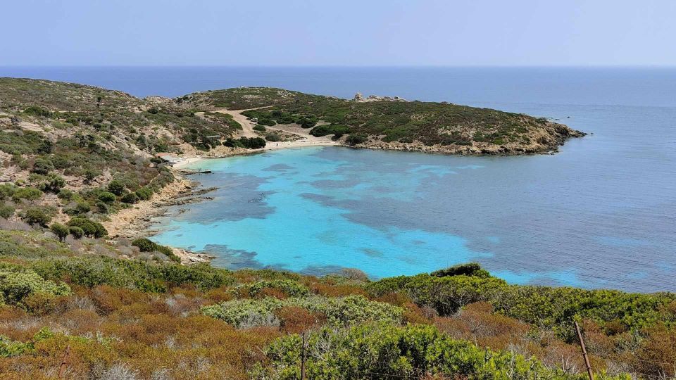 From Stintino: Day Trip by Minibus in Asinara National Park - Transportation Details