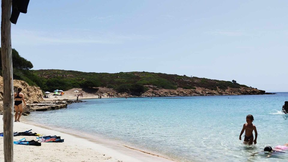 From Stintino: Day Trip by Minibus in Asinara National Park - Booking and Cancellation Policy