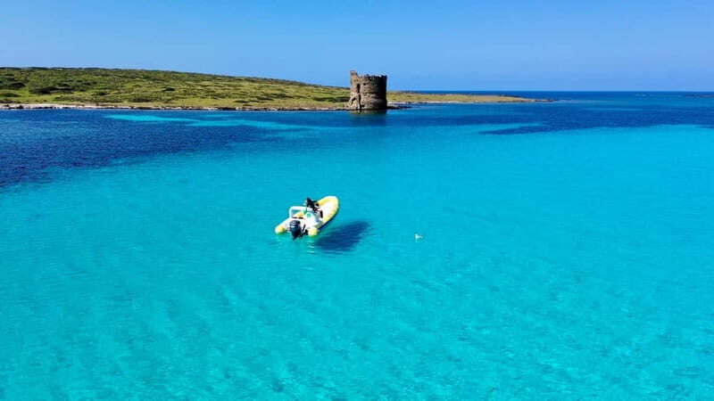 From Stintino: dinghy tour to Asinara with aperitif - A Deep Dive into the Experience