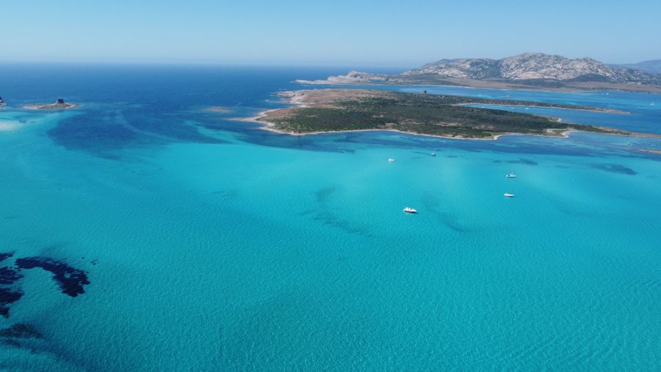 From Stintino: Half-Day Dinghy Tour in Asinara Gulf - Important Meeting Information