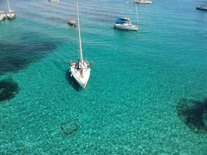 From Stintino: Half-Day Sailing Boat Tour to Asinara - Key Points
