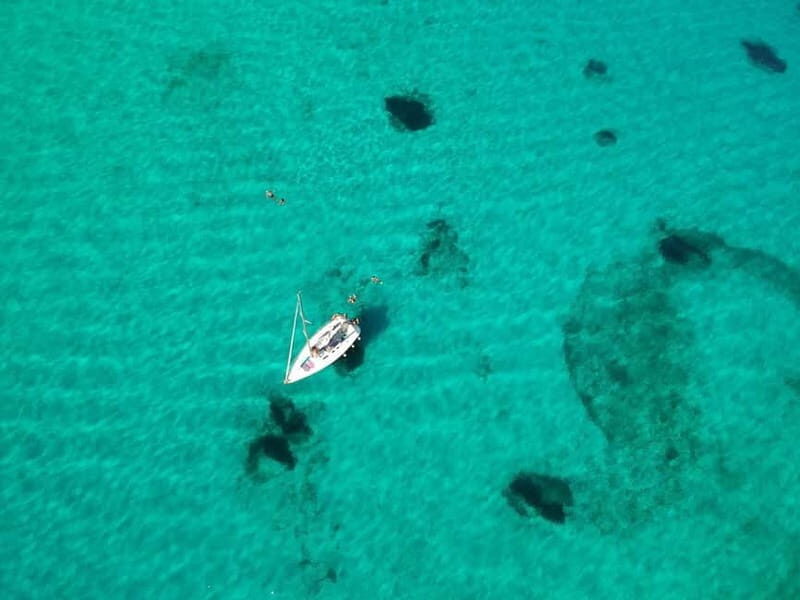 From Stintino: Half-Day Sailing Boat Tour to Asinara - What Does This Tour Offer in Terms of Value?