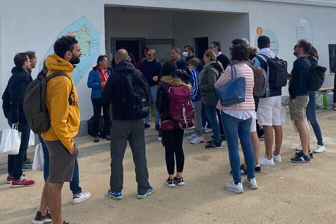 From Stintino: minivan tour of Asinara - Authentic Encounters & Highlights