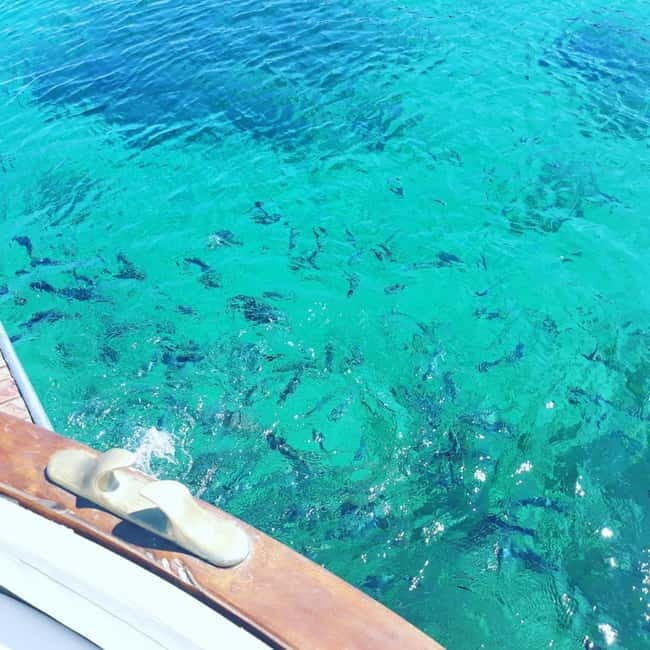 From Stintino: wooden boat excursion to Asinara Island - The Onboard Lunch: Sardinian Flavors and Local Wines