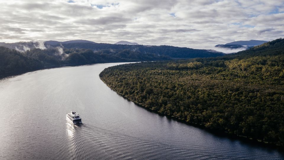 From Strahan: Evening Dinner Cruise on the Gordon River - Hotel Pickup and Drop-off