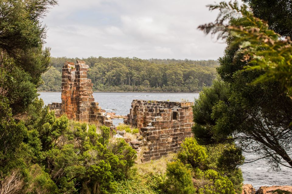 From Strahan: Evening Dinner Cruise on the Gordon River - Frequently Asked Questions