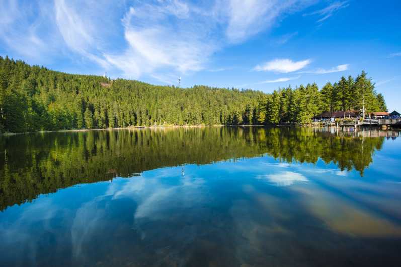 From Strasbourg: Black Forest and Baden Baden Day Trip - Itinerary Highlights