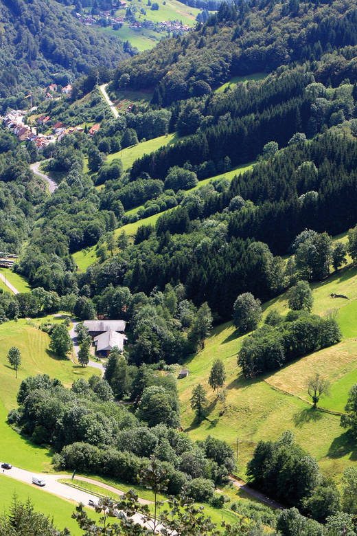 From Strasbourg: Black Forest and Baden Baden Day Trip - Exploring Baden-Baden