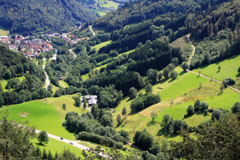 From Strasbourg: Black Forest and Baden Baden Day Trip - Discovering the Badischerweinstrasse