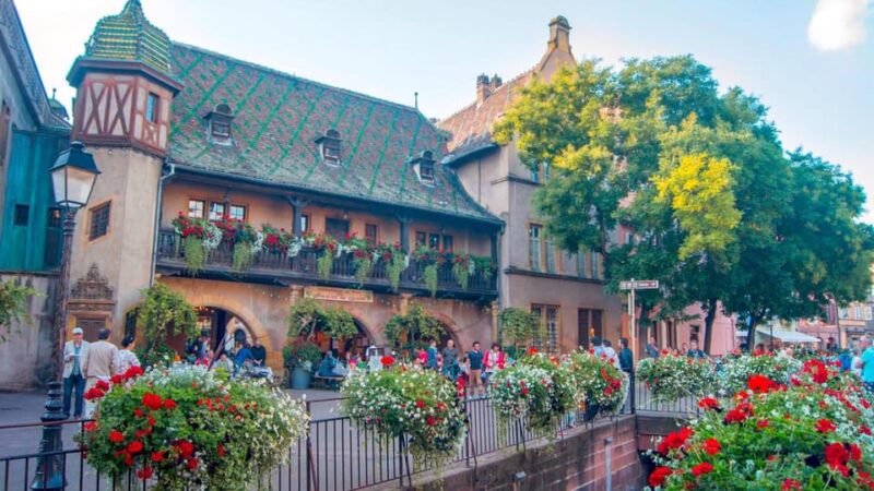 From Strasbourg: Colmar & Alsace Wine Route Private Day Trip - Itinerary