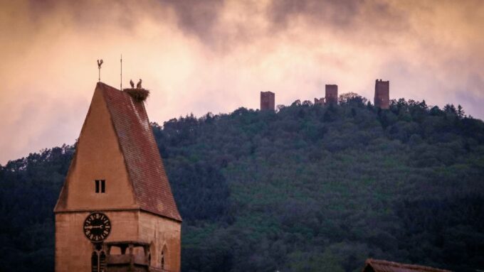From Strasbourg: Colmar & Alsace Wine Route Private Day Trip - Booking Information