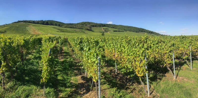From Strasbourg: Colmar, Riquewihr, & Eguisheim Day Trip - Transportation and Pickup Details