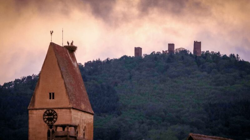 From Strasbourg: Discover Colmar and the Alsace Wine Route - Highlights of Eguisheim