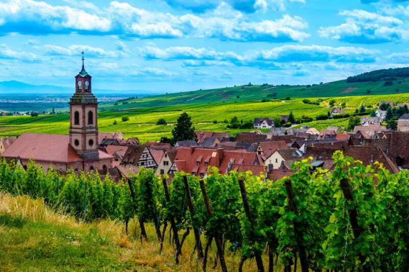 From Strasbourg: Full-Day Highlights of the Alsace Tour - Customize Your Tour Experience