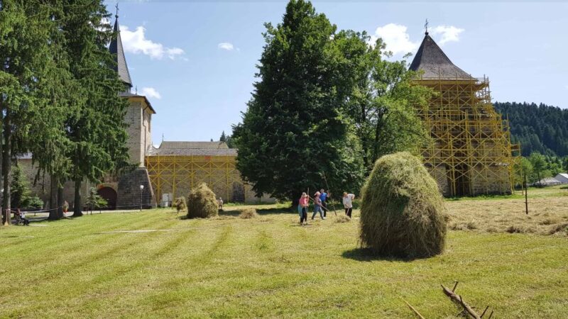 From Suceava: Painted Monasteries of Bucovina Day Trip - Painted Monasteries of Bucovina