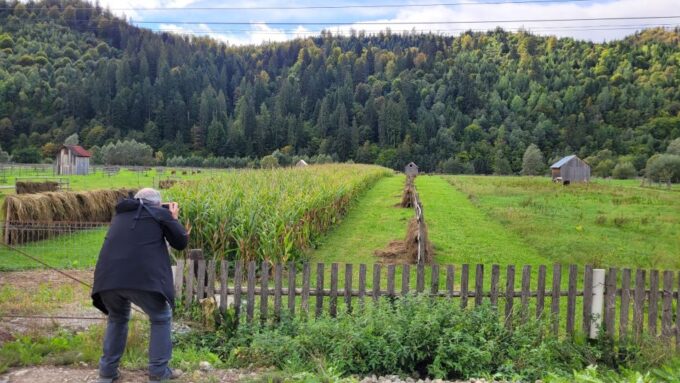 From Suceava: Painted Monasteries of Bucovina Day Trip - Travel Tips for Visitors