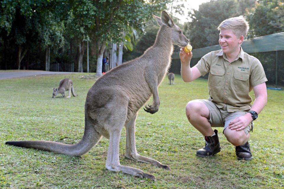 From Sunshine Coast: Australia Zoo Entry Ticket and Transfer - Important Information