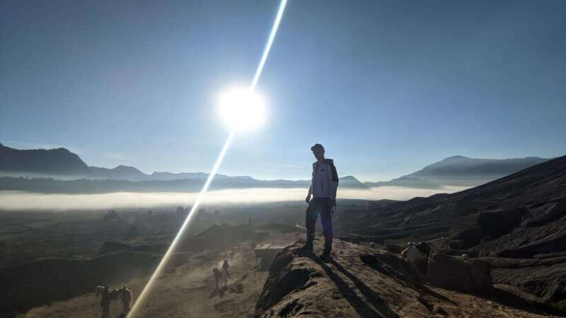From Surabaya: 1D Private Tour Bromo Sunrise - Who Should Book This Tour?