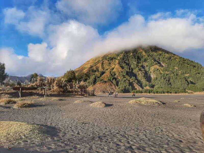 From Surabaya: 1D Private Tour Bromo Sunrise - The Sum Up