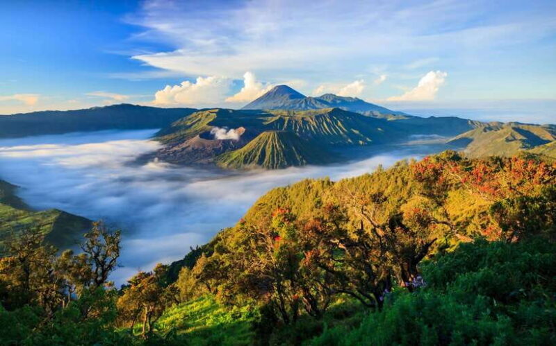 From Surabaya: 3-Day Bromo & Ijen Tour with Bali Transfer - Key Points