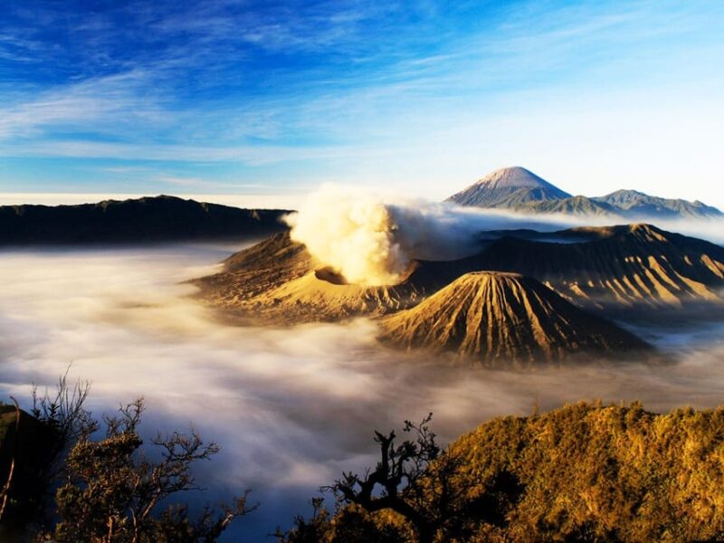 From Surabaya/Malang : Bromo Midnight Tour - Experience Details