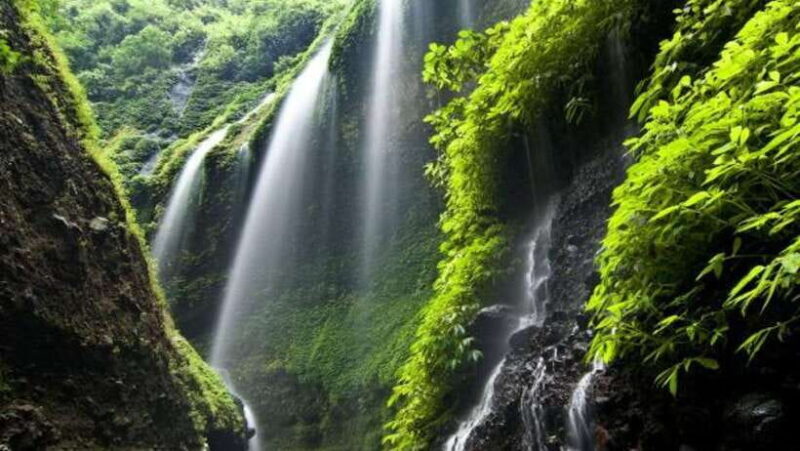 From Surabaya/Malang: Mount Bromo and Madakaripura Day Tour - Exploring the Day in Detail