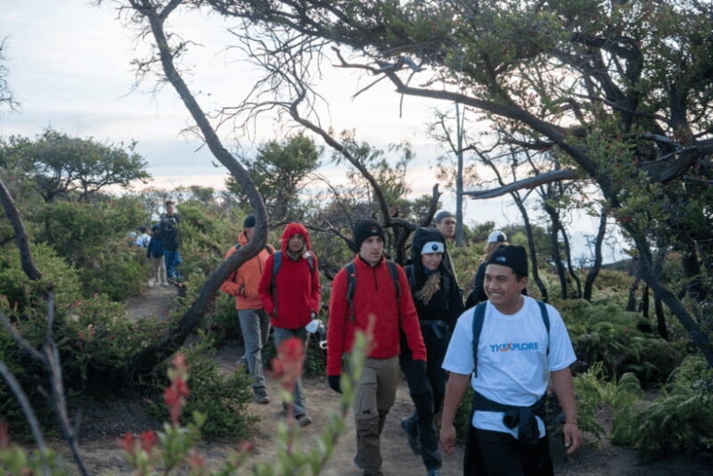 From Surabaya or Malang : Bromo & Ijen English Guide Tour - Who Should Consider This Tour?