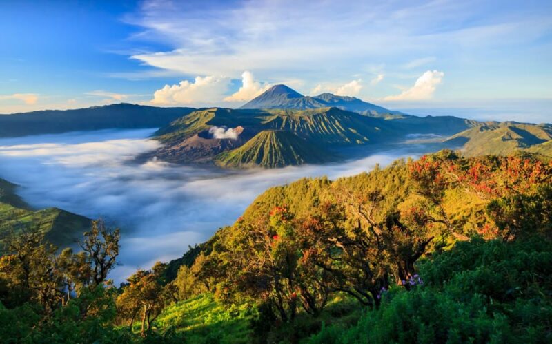 From Surabaya: Tumpak Sewu and Mount Bromo 2-Day Tour - Discovering Mount Bromo